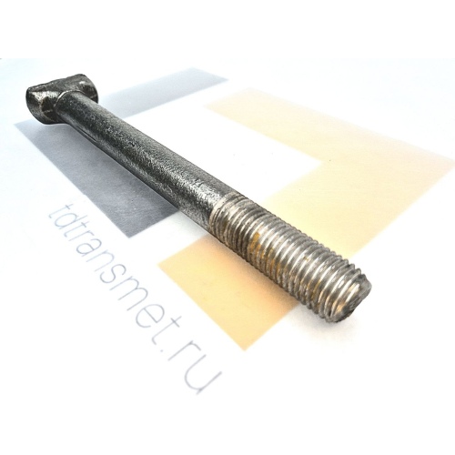Болт закладной М22х225 удлиненный